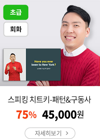 스피킹 치트키-패턴&구동사